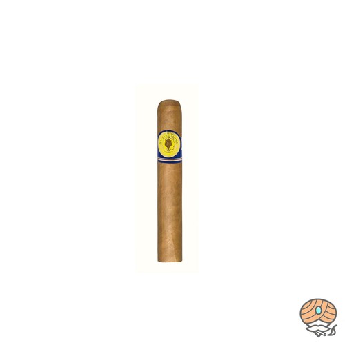 Santa damiana classic robusto - santa,