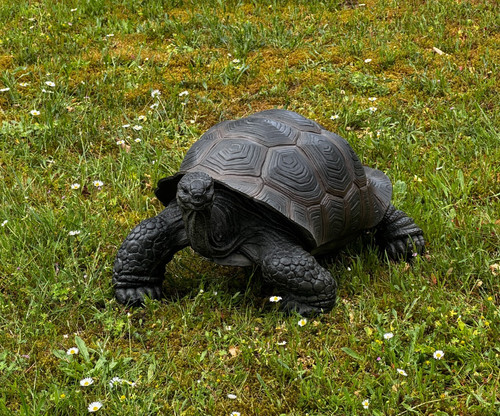Gartenfigur schildkröte figur - gartenfigur,