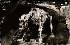 CPA AK Pottenstein - Teufelshohle - Hohlenbar GERMANY (918758)