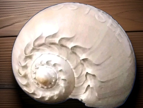 Große sea shell muschel mit - muschel,