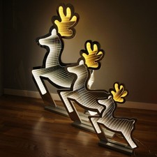 Rentier Infinity LED 50x60 cm