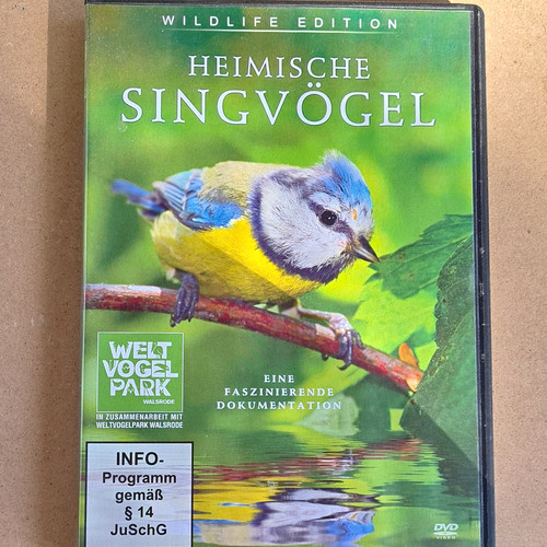 Heimische singvögel wildlife - heimische,