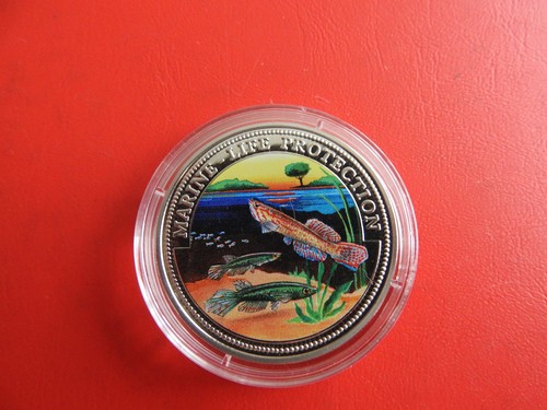 Somalia dollar 1999 - pp, *