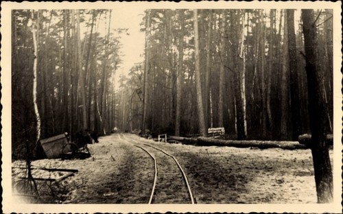 Foto kemberg der - foto,