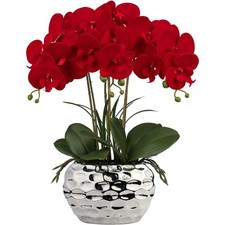 Kunstorchidee orchideenpflanze - kunstorchidee,