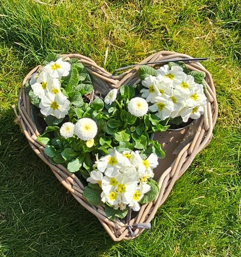 Rattan blumen schale - blumen, herz