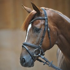 % Kavalkade Trense Carian