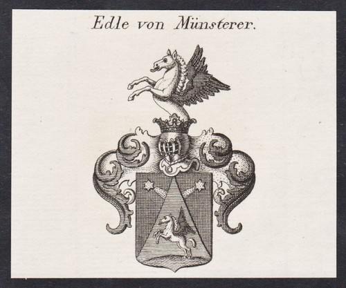 Münsterer wappen coat arms - wappen,