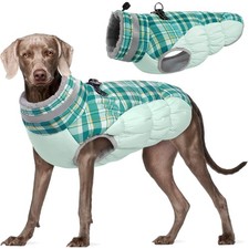 Hundemantel Winter Hundejacke