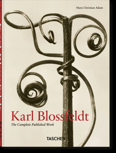 Karl blossfeldt the - karl,