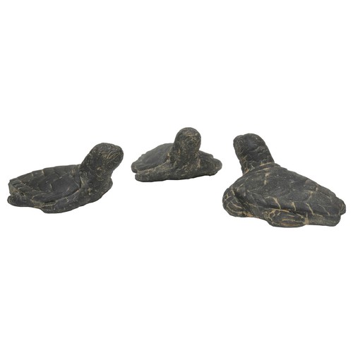 3er set wasser schildkröten - 3er, wasser-schildkröten
