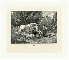 Idylle W. Emele Kinder Tiere Pferd Fohlen Baby Garten Holzstich A 0102 Gerahmt