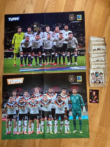 Dfb 2026 panini - 2026,