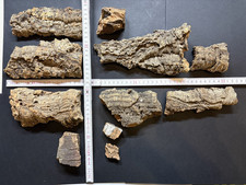 Spur HO, Kork, Korkrinde, 11