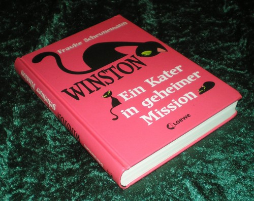 Winston ein kater - kater, in