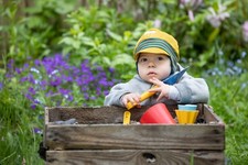 Pickapooh Nils  verschiedene