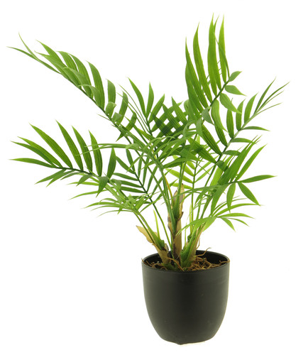 Künstliche palme chamaedorea - palme,