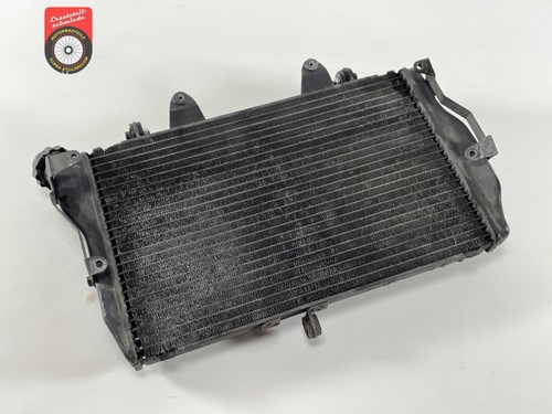 Honda 1100 11 eleven - cb, x-11