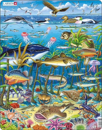 Puzzle meeresleben - t.),