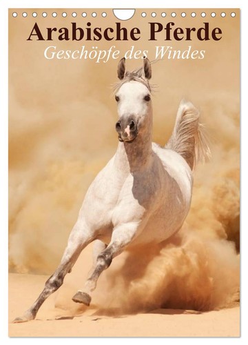 Arabische pferde - arabische, •