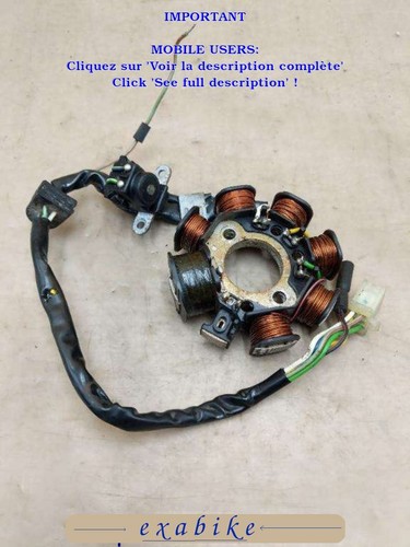 Lichtmaschinenstator für