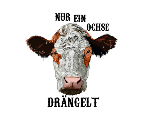 Kuhkopf autoaufkleber - kuhkopf,