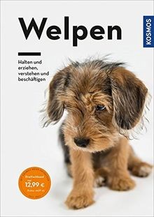 Welpen halten und erziehen - halten,