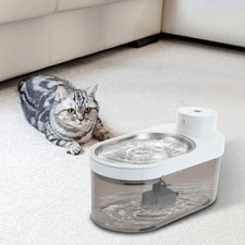 Katze Hund Wasser Brunnen