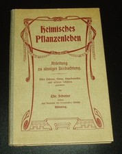 Heimisches Pflanzenleben -