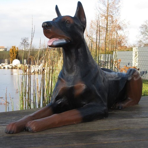 Dobermann lebensgroß cm - dobermann,