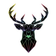 2x Polygon Hirsch Hologramm