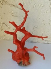 Koralle 541 carat  Korallenast