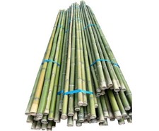 Bambusrohr 300cm grün mit