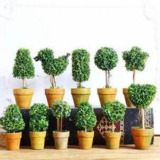 Topf Simulationsblume Bonsai