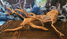 Rote Moorwurzel / Fingerwurzel L 54x40x22cm - Holz für Welse, Fische, Aquarium