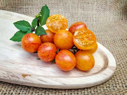 Artisan sunrise bumblebee - sunrise,