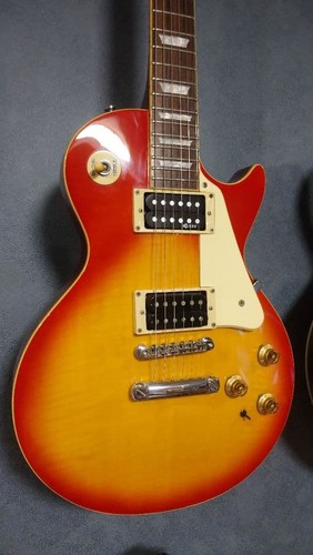 Fernandes sustainer equipped - sustainer,