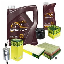 MANN Inspektionspaket 6 L