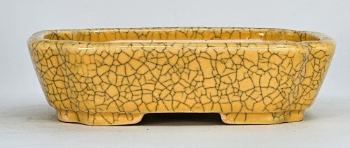 Bonsaischale koyo tokoname - bonsaischale,