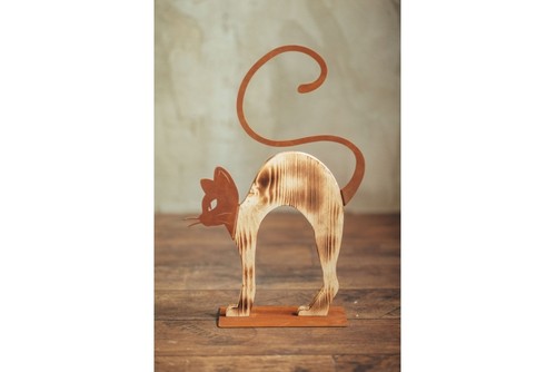 Katze kater buckelnd - katze,