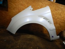 Kotflügel vorne links