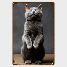 Blechschild katze britisch - blechschild,