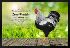 Fußmatte Schmutzfangmatte Hühner Zwerg Wyandotte silberhalsig F1256