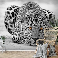 Fototapete Leopard Afrika