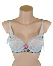 Triumph amourette spotlight - triumph,