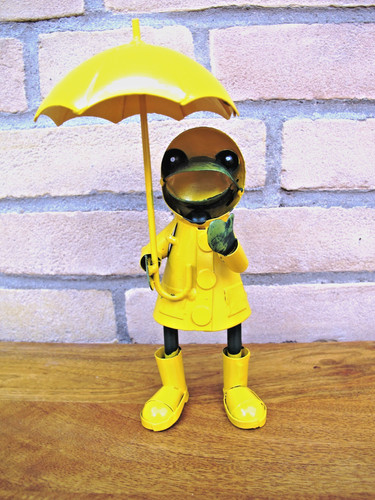 Frosch regendress - im, |