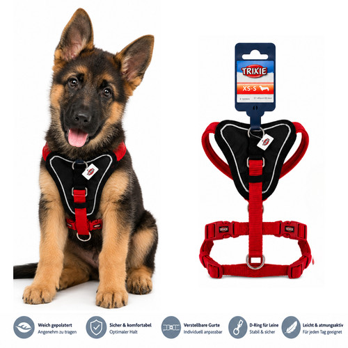 Hundegeschirr rot gepolstert
