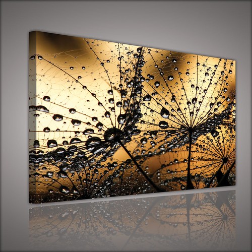 Canvas wandbild leinwandbild - canvas,