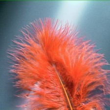 Glorex Marabufedern braun ca. 15 Stück  Federn