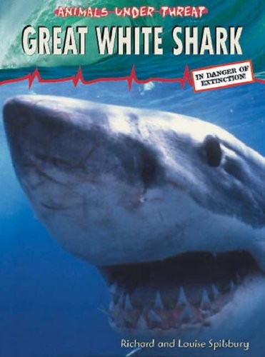 Great white shark - great, (animals
